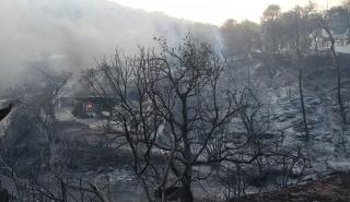 Φωτιές στην Αττική: Την Τετάρτη θα απολογηθεί ο 80χρονος που φέρεται να έβαλε τέσσερις φωτιές