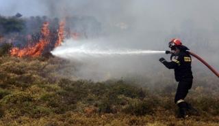 Οριοθετήθηκε η πυρκαγιά στην Τερψιθέα Γλυφάδας