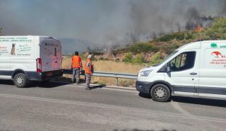 Διάσωση ζώων μέσα από τις φλόγες