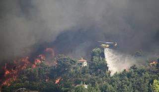 Πυρκαγιές στην Αττική: Έκτακτα μέτρα για τις θέσεις εργασίας στις πυρόπληκτες περιοχές