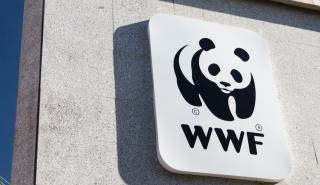 WWF: Οι πληθυσμοί της άγριας πανίδας έχουν μειωθεί κατά 73% την τελευταία 50ετία