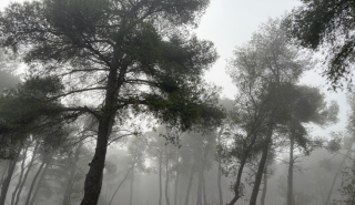 Είναι η συνέντευξη του Πρωθυπουργού για τα Τέμπη game changer του πολιτικού σκηνικού;