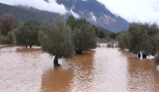 Βροχή - ρεκόρ στην Κεφαλονιά: Πλημμύρες και ζημιές από 14 εκατ. τόνους νερού σε 48 ώρες