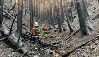 Υπό έλεγχο τέθηκε η χειρότερη δασική πυρκαγιά των τελευταίων 50 ετών στην Ιαπωνία