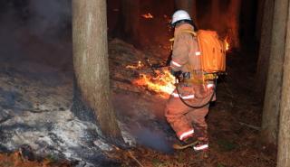 Ιαπωνία: Για πέμπτη ημέρα καίει ανεξέλεγκτη η χειρότερη δασική πυρκαγιά εδώ και 50 χρόνια