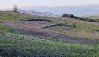 Έξι εκατ. στρέμματα εγκαταλελειμμένης γης στην Ελλάδα - Ποιος θα τα πάρει, η ενέργεια ή η παραγωγή τροφίμων;