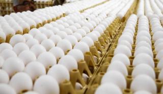 Σαρώνει η ακρίβεια στις ΗΠΑ: «Άλμα» 8,5% για τις τιμές στα αυγά τον Ιανουάριο