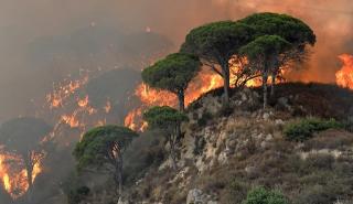 Ιταλία: Επτά νεκροί από τις πυρκαγιές και τις πλημμύρες - «Φωνές» για κατάσταση έκτακτης ανάγκης στη Σικελία
