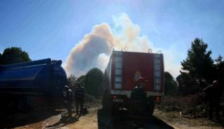Χαλκιδική: Υπό έλεγχο οι δασικές φωτιές σε Κασσάνδρα και Σιθωνία