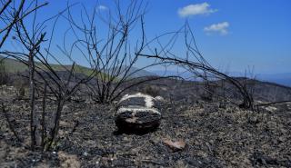 Εξαιρούνται κατασχέσεων και συμψηφισμών οι πυρόπληκτοι