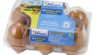 Αυγά Βλαχάκη: Στα φθηνά αυγά έχει μεταφερθεί η ζήτηση - Οριακή αύξηση στις πωλήσεις