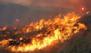 Οριοθετήθηκε η πυρκαγιά στη Στυλίδα - 60 δασικές πυρκαγιές το τελευταίο 24ωρο