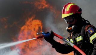 Φωτιά σε δύσβατη δασική περιοχή στη Μόλα Καλύβα στη Χαλκιδική - Ενισχύονται οι δυνάμεις πυρόσβεσης