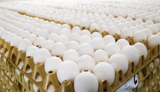 «Θραύση» κάνουν τα αυγά - 43% πάνω οι τιμές σε σχέση με πέρυσι