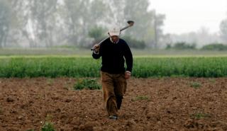 Απαλλάσσονται των ασφαλιστικών εισφορών οι συνταξιούχοι με αγροτικό κλήρο και εισόδημα μέχρι 10.000 ευρώ