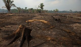 Βραζιλία: Η αποψίλωση του δάσους του Αμαζονίου έσπασε ρεκόρ το πρώτο 6μηνο