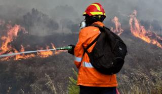 Κρήτη: Φωτιά στα Μάλια - Μεγάλη κινητοποίηση της Πυροσβεστικής, ισχυροί άνεμοι στην περιοχή
