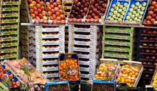 Τα ελληνικά φρούτα που πρωταγωνίστησαν στις εξαγωγές το πρώτο 7μηνο του 2020