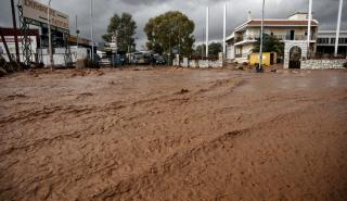 Ηράκλειο: Άνοιξε εκ νέου η πλατφόρμα arogi.gov.gr για τις επιχειρήσεις που επλήγησαν από τις πλημμύρες της 15 Οκτωβρίου