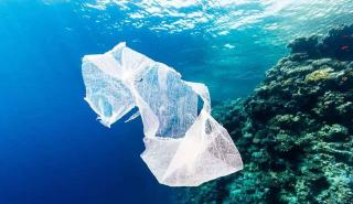 Το 55% των των πλαστικών απορριμμάτων παράγεται από μόλις 20 εταιρείες