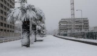 Χαρδαλιάς: Μέχρι αργά το βράδυ θα αποκατασταθούν οι βλάβες - Αντιμετώπισε πρωτοφανή κατάσταση ο ΔΕΔΔΗΕ