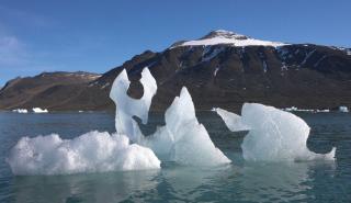 Κλιματική αλλαγή: Οι ελβετικοί παγετώνες συρρικνώθηκαν την τελευταία διετία όσο την τριακονταετία 1960 -1990