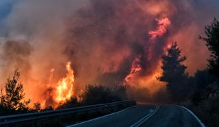 Ισπανία: Σε εξέλιξη η πρώτη μεγάλη πυρκαγιά της χρονιάς