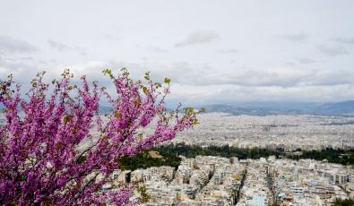 ΕΑΤ: Αναρτήθηκαν οι προκηρύξεις για τα νέα προγράμματα «Σπίτι μου» ΙΙ & «Αναβαθμίζω το Σπίτι μου»