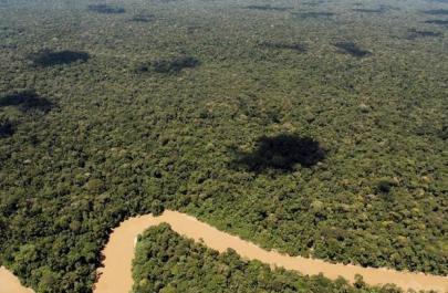 Ο Αμαζόνιος κινδυνεύει από το Greenwashing των τραπεζών