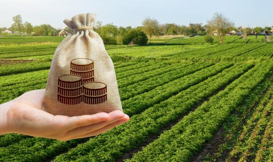 Επιδοτούμενο δάνειο για αγορά αγροτικής γης – Το πρόγραμμα για «νέους» αγρότες