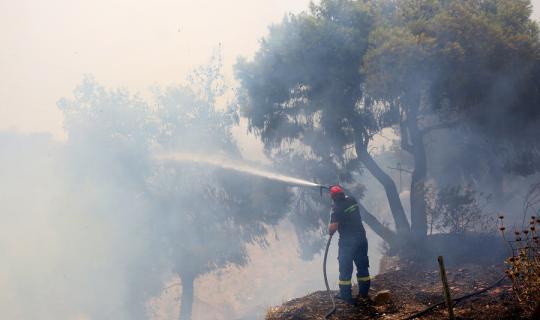 Ο εφιάλτης των πυρκαγιών... και μία, ας το πούμε, «αισιόδοξη» ματιά