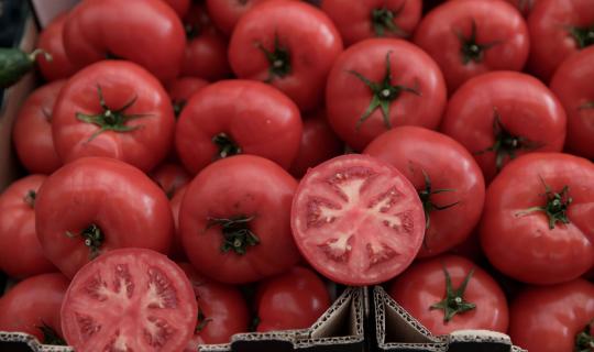 Αυτοί οι αγρότες ωφελούνται από την αύξηση στην τιμή της τομάτας κατά 700%