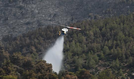 Παραδασόβιοι πληθυσμοί και τι κάνουν για το δάσος και τη φωτιά