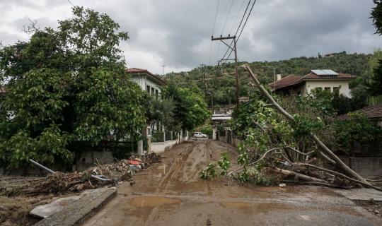 Η κερδοσκοπία στα τρόφιμα «χτυπά» την Θεσσαλία - Ποιοι παράγοντες την ενισχύουν;