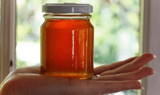 Κλιματική αλλαγή και ελληνοποιήσεις «χτυπούν» το ελληνικό μέλι