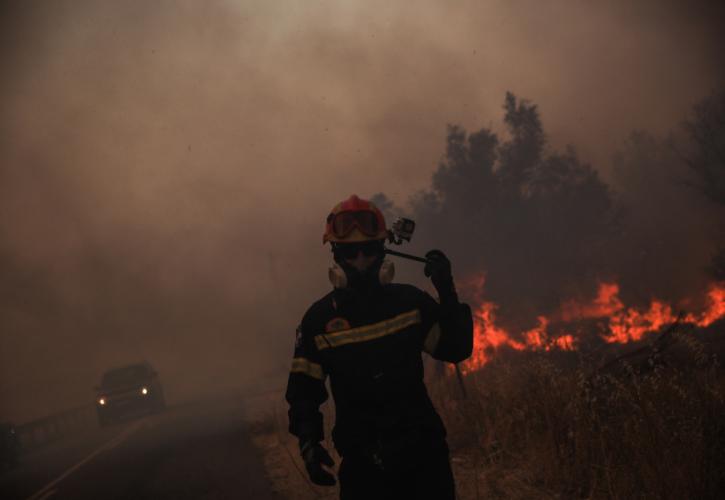 Εύβοια: Ενισχύονται οι δυνάμεις που επιχειρούν στην πυρκαγιά σε χορτολιβαδική έκταση στην περιοχή Γάια