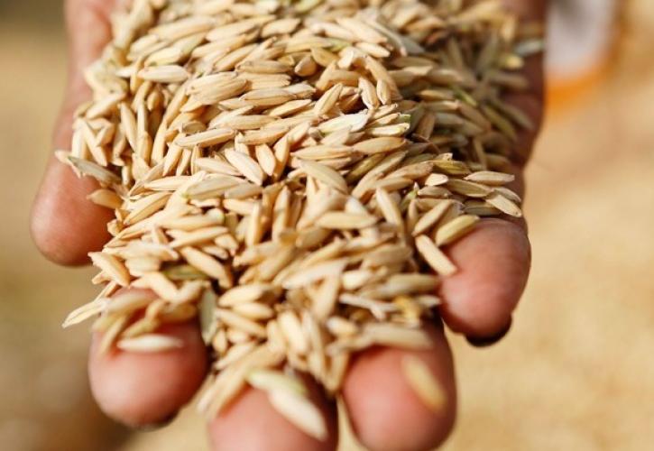 Η Ινδία θα επιτρέψει την εξαγωγή σιτηρών που βρίσκονται στα τελωνεία