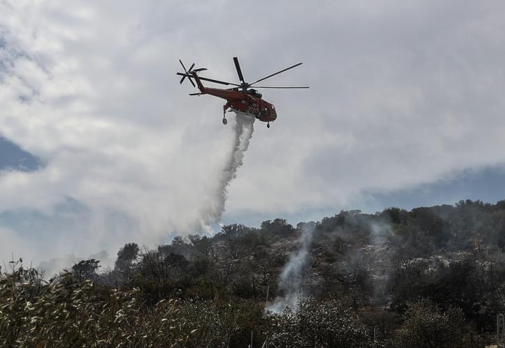 Υπό μερικό έλεγχο η πυρκαγιά σε χαμηλή βλάστηση στην Ελλοπία Βοιωτίας