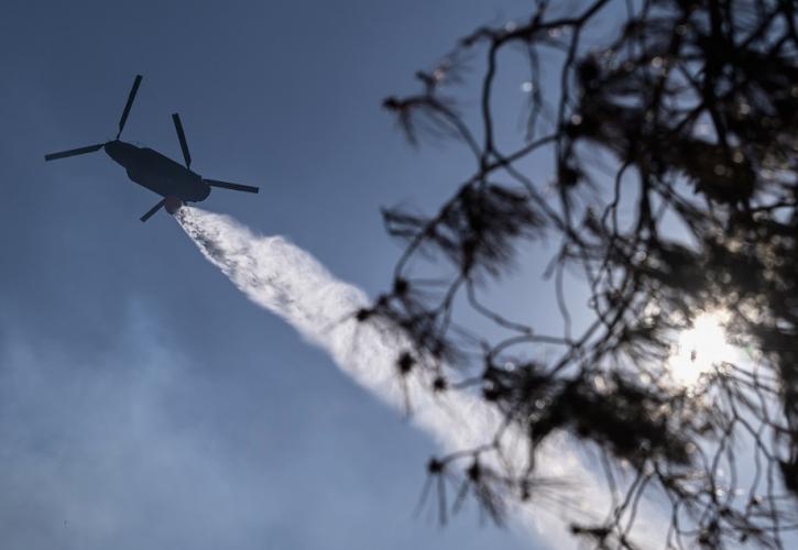 Ηλεία: Πυρκαγιά σε δασική έκταση στην περιοχή Ροδιά - Επιχειρούν επίγειες κι εναέριες δυνάμεις
