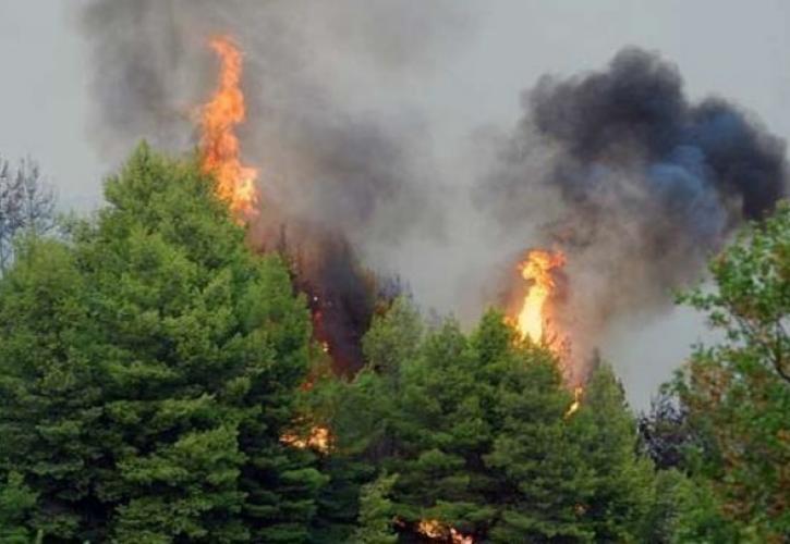 Κόρινθος: Σε εξέλιξη δασική πυρκαγιά στην περιοχή Ελληνοχώρι