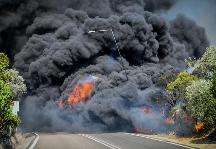 Πυρκαγιές: 3 μεγάλα μέτωπα σε Λέσβο, Δαδιά και Ηλεία - Εκκενώσεις οικισμών και στη μάχη εκατοντάδες πυροσβέστες