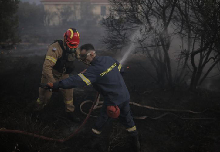 Πυρκαγιές: Καλύτερη εικόνα παρουσιάζει η φωτιά στην Μάνδρα - Παραμένει το μέτωπο στο δάσος της Δαδιάς