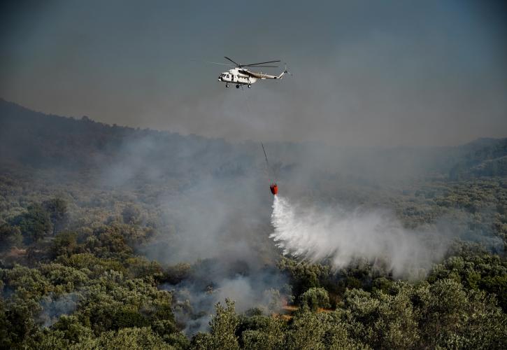 Πυρκαγιές: Πολύ υψηλός κίνδυνος την Τετάρτη σε Αττική, Στερεά Ελλάδα και Βόρειο Αιγαίο