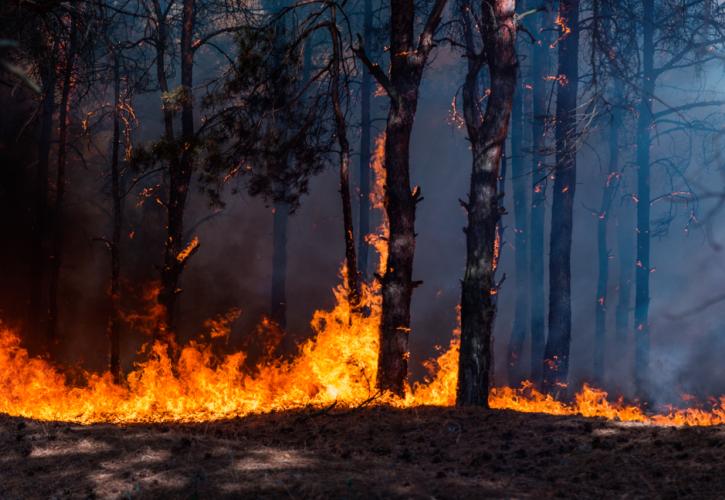 Ακραίος κίνδυνος πυρκαγιάς αύριο στην Αττική - Ακόμα 5 περιοχές στο «κόκκινο»