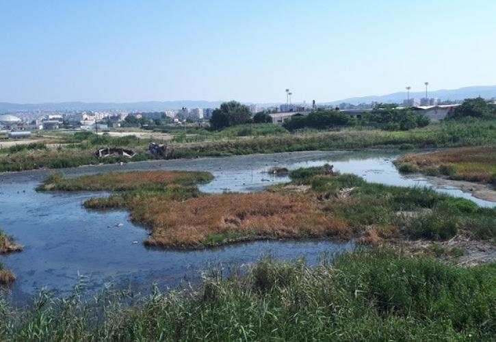 Θεσσαλονίκη: Νέες μέθοδοι απορρύπανσης «ξεκλειδώνουν» τα μυστικά του... βάλτου της δυτικής Θεσσαλονίκης