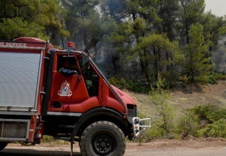 Πυρκαγιά στη Χίο: Βελτιωμένη η εικόνα στη βορειοδυτική πλευρά του νησιού