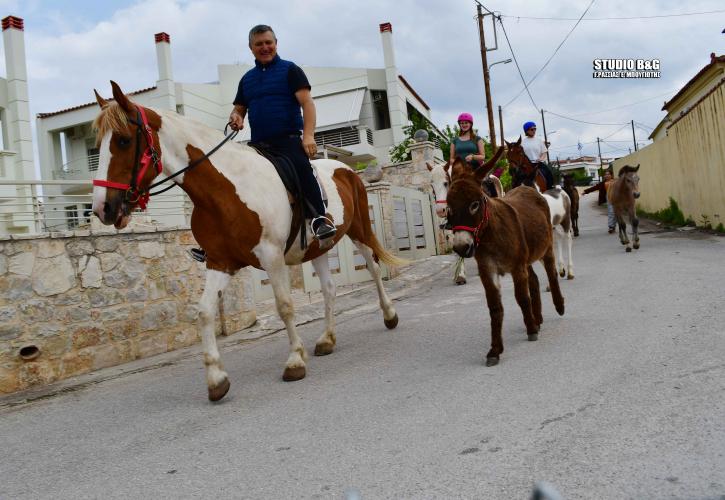 Ναύπλιο: Πήγε έφιππος στο εκλογικό κέντρο