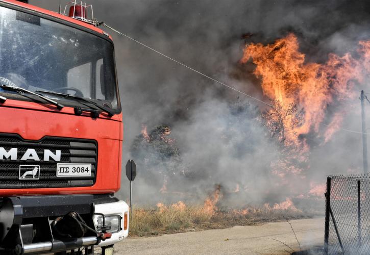 Ηράκλειο: Νέος συναγερμός στην Πυροσβεστική για φωτιά στη Γόρτυνα - Ισχυροί άνεμοι στην περιοχή