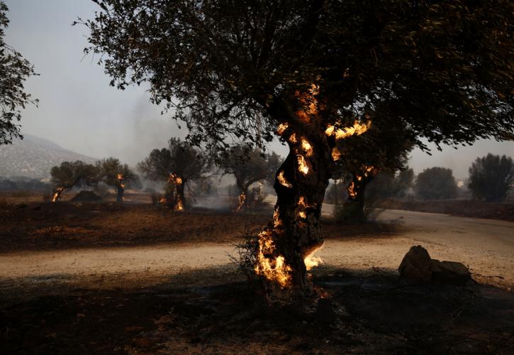 Φωτιά στον Κουβαρά: «Εξαιρετικά δυσμενείς συνθήκες ως αργά το απόγευμα», προειδοποιεί το Meteo