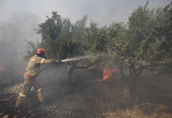 Νέος συναγερμός στην Εύβοια: Φωτιά σε αγροτοδασική έκταση στο Κοντοδεσπότι